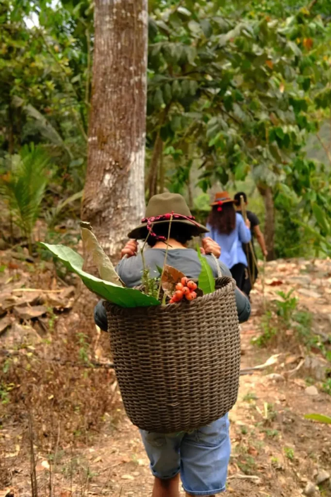  Una breve introducción al mundo del cacao y el chocolate 